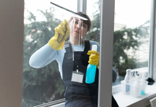 Nettoyage de vitres intérieures et extérieures au Rousset-Marizy